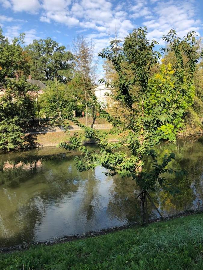 Nad Mlynowka Opole Exterior foto